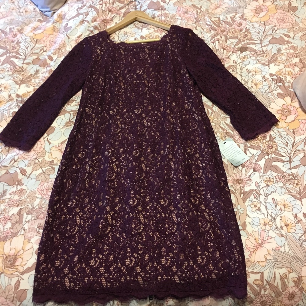 Lovely deep mulberry Adrienne Papel lace dress